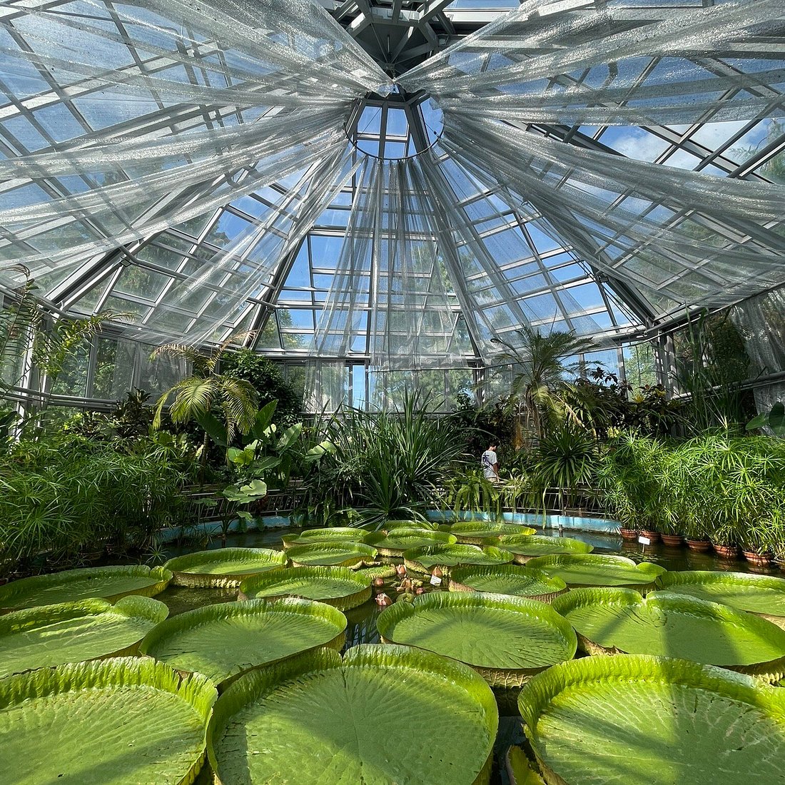 Alexandru Borza Botanical Garden